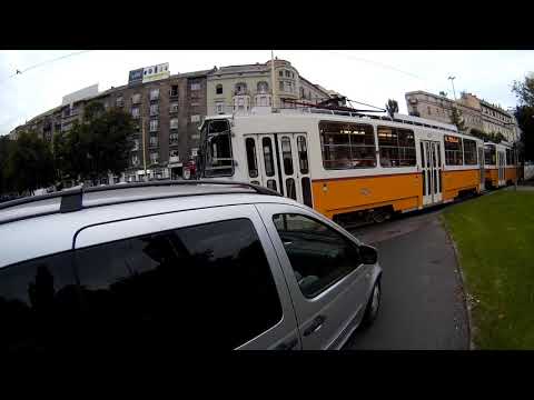 Értelmetlen pirosozás maxi level PAC-823