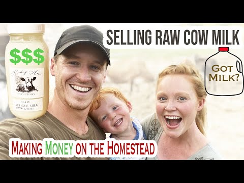 Selling Raw Cow Milk | Another Way to Make Money on...