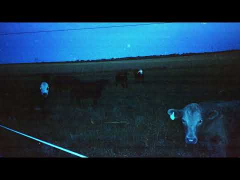 Video thumbnail for Ballroom
