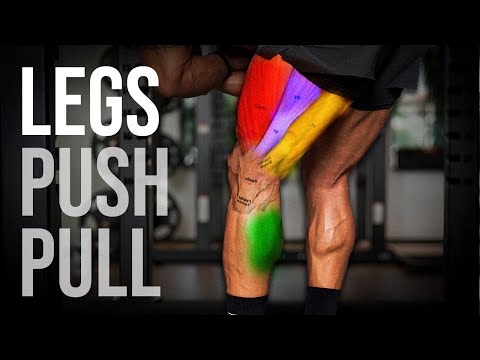 The Perfect Leg Workout (Quads, Glutes, Hamstrings, Calves)