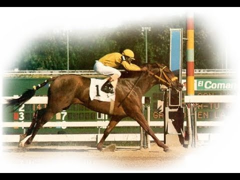 VERSET'S DANCER Clásico Del Caribe 1983