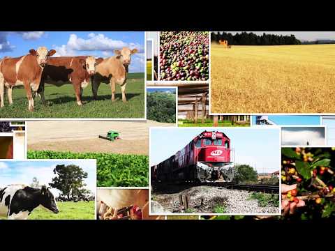 Giro técnico: Pedro Loyola - Fórum Nacional de Seguro Rural