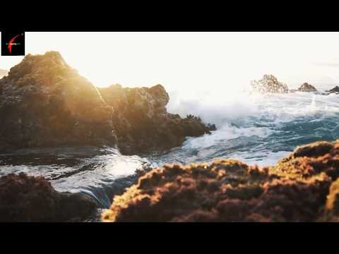 Fresh Water Meets Sea Water – Boundary Explained, natural resources with Sea forest Clips all