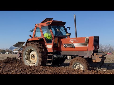 Gara di Aratura | MOTOR SOUND | Fiat 1880 | Fiatagri 90-90 | Fiatagri 70-90\60-90 | ARATROPARTY