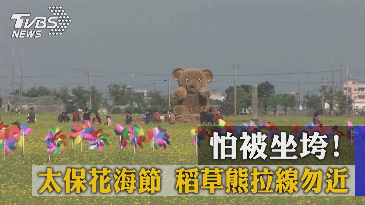 怕被坐垮!太保花海節 稻草幸福熊拉線勿近