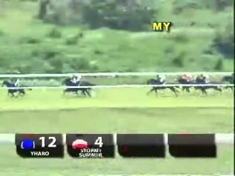 20100926 IPOH CLASS 4 1600M (LC) - TEQUILA SUNRISE (KT Cheng)