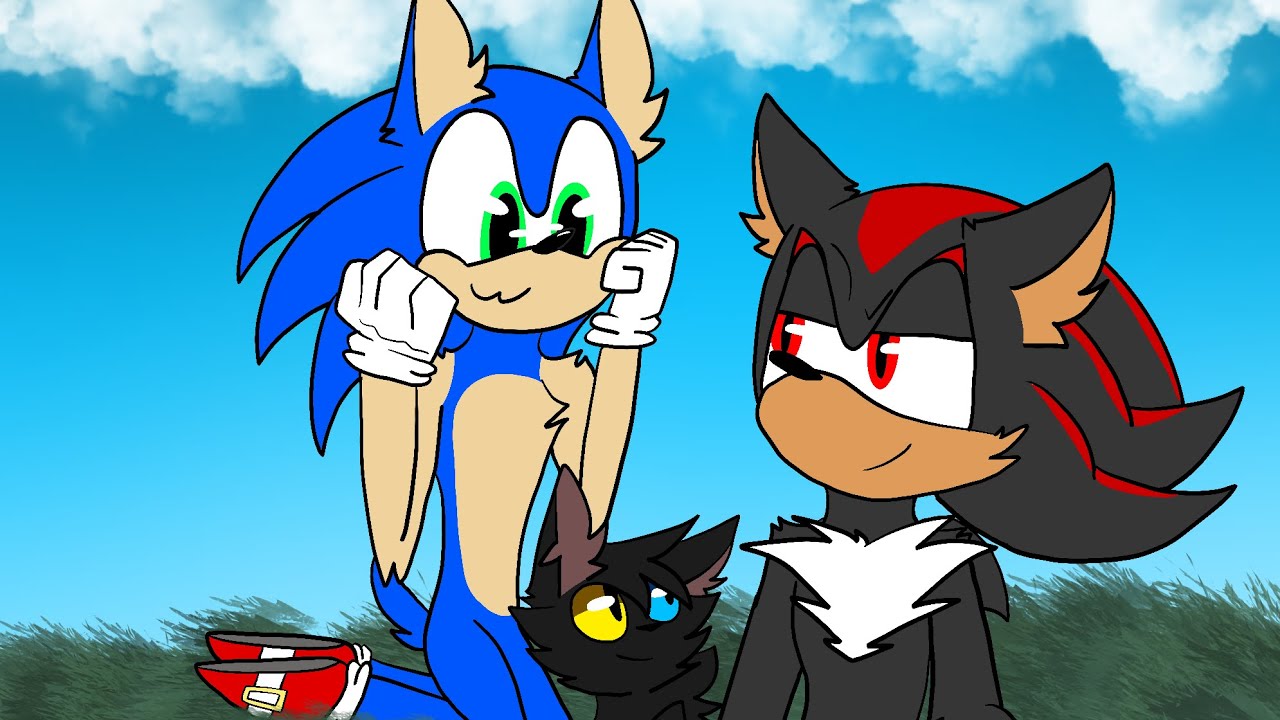 Sonic comforts Shadow (headphones 🎧