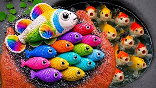 Download lagu Scooping ornamental aquarium fish, colorful fish, goldfish, koi fish, comet fish, eels, lobsters,... mp3 Download lagu Scooping ornamental aquarium fish, colorful fish, goldfish, koi fish, comet fish, eels, lobsters,... mp3