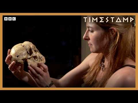 Prof Alice Roberts Uncovers Incredible Origins Of Ancient Humans | BBC Timestamp