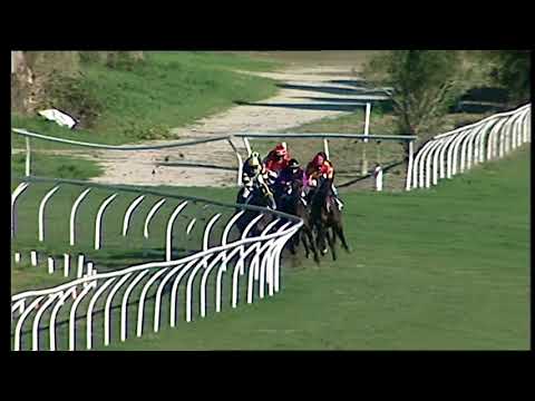 Galoppo 18/01/2021 - 3ª corsa