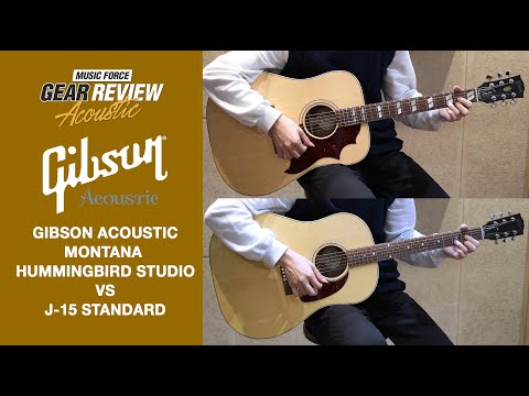Gibson Montana Hummingbird Studio Walnut VS Gibson Montana J-15 Standard Walnut Review (No Talking)
