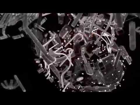 The Durian Brothers - Weggeputscht