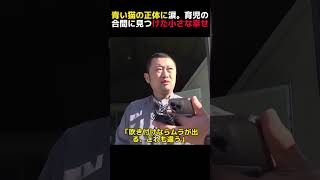 青い猫の正体に涙。育児の合間に見つけた小さな幸せ #癒やし動画 #涙腺崩壊 #育児あるある  #感動の実話 #猫のいる暮らし