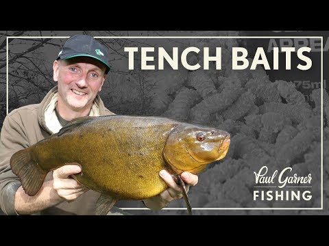 Tench Fishing: Tench Baits