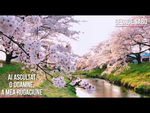 Ai ascultat o Doamne a mea rugăciune.  George Sabo