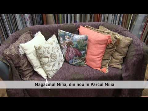 Magazinul Milia, din nou în Parcul Milia