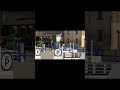Yegua Silla Francés En venta 2021 Tordo por CAP KENNEDY