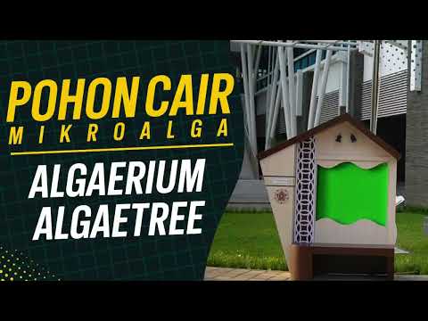 Pohon Cair Mikroalga: Algaerium & Algaetree