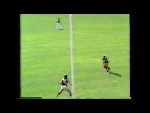 Malcolm Blight R22 1982