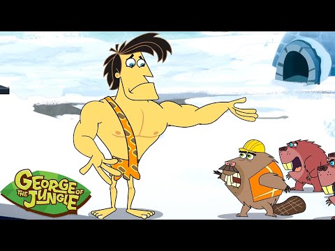 George's Beaver Friends! 🦫 🍁 | George of the Jungle | 1 Hour of Full Episodes | Cartoons For Kids