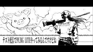 【PUBG LITE】NEWPCによる雑談的テスト配信