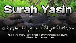Download lagu Calming Quran Recitation | Surah Yasin Murottal Syahdu for A Calm Mind mp3 Download lagu Calming Quran Recitation | Surah Yasin Murottal Syahdu for A Calm Mind mp3