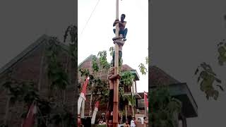 Download lagu panjat pinang burungnya keluar mp3 Download lagu panjat pinang burungnya keluar mp3