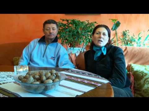 Pensiune in satul Hermeziu,Iasi