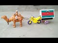 The Camel Pulled Out The Trapped Loader Rickshaw