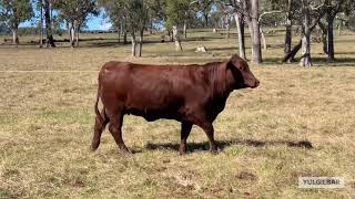 Download lagu Lot 113 mp3 Download lagu Lot 113 mp3