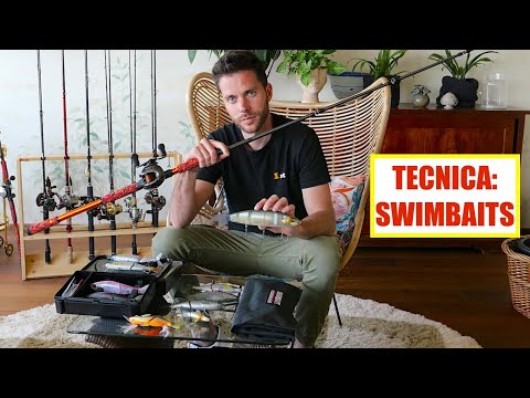 SWIMBAIT Fishing: Technique and Equipment for Best Practice!