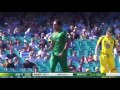 Hasan Ali Montage