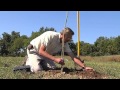 Video preview for How To Plant a Stark® EZ Start® Potted Tree