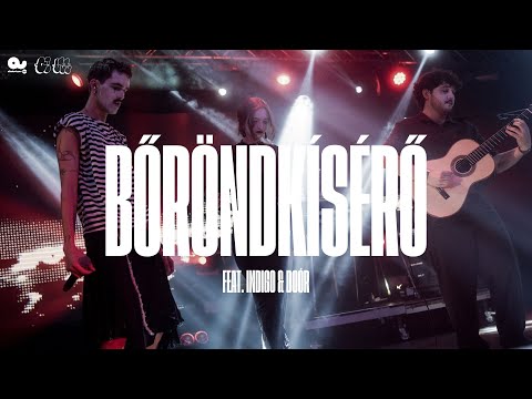 CO LEE - BŐRÖNDKÍSÉRŐ FEAT. INDIGO & DOÓR | LIVE @ AKVÁRIUM NAGYHALL