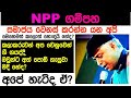 THE VETERAN ARTIST RODNEY WARNAKULA At NPP GAMPAHA SUMMIT