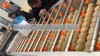 soft brush dates cleaning machine test for customer