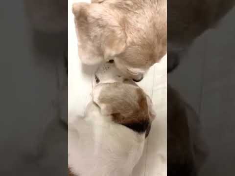 天南星命理諮詢中心