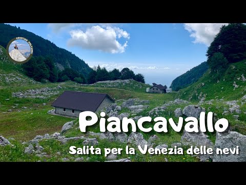 Venezia delle nevi - Piancavallo Aviano - Mezzomonte  salita in MTB in Friuli Venezia Giulia