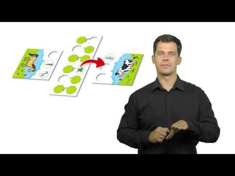 Fun For Everyone - Zwierzakowo - 10. Na farmie