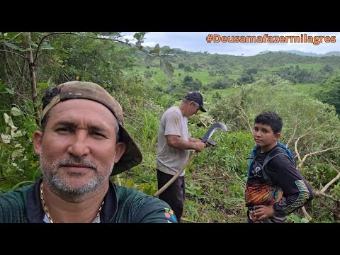 Não tava um dia bom pra trabalhar,abelha, foice, maribondo, morro. 🫣🫣🫣