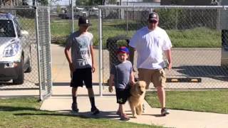 The Bond With An Autism Service Dog