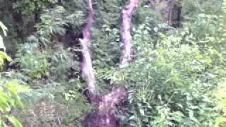 Out My Back Door in Kansas