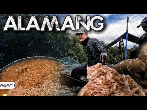 P1-Pangunguha ng ALAMANG - EP1019