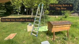 A Beekeepers Musings No4 Just missed em. #nobeesboughtbritishbeekeeping