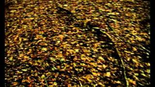 SiKth - Part Of The Friction