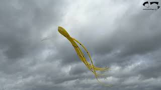 Octopus Einleiner Showkite
