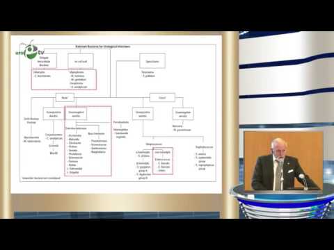 Порно картинки бионция, русскую азиатку прут