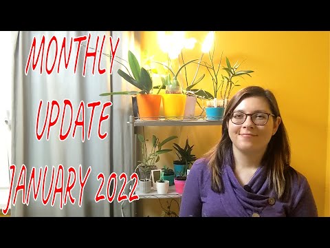 Monthly update on my orchids - January 2022