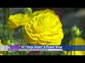 Your 4 Things To Do Today Saturday March 17 2018