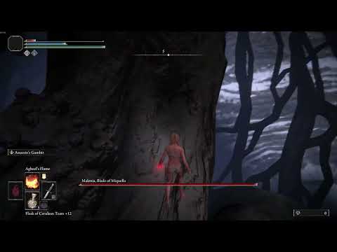 MALENIA CHEESE ( ClIMBING BRANCH WAY ) 27 MAY 2025 WORKS #eldenring